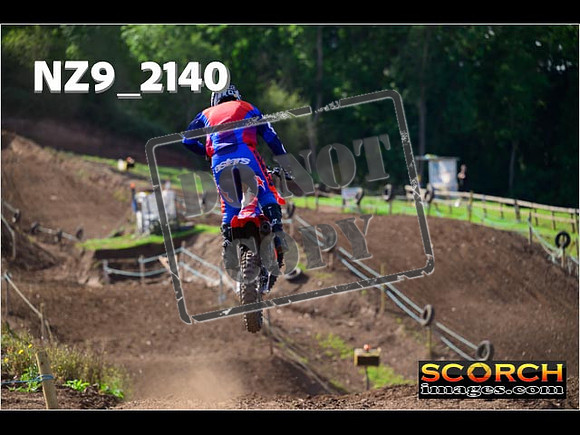 Experts-271