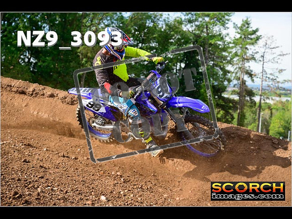 Experts-279
