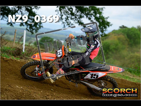 Experts-317