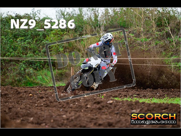 Experts-036