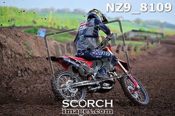 NZ9_8109