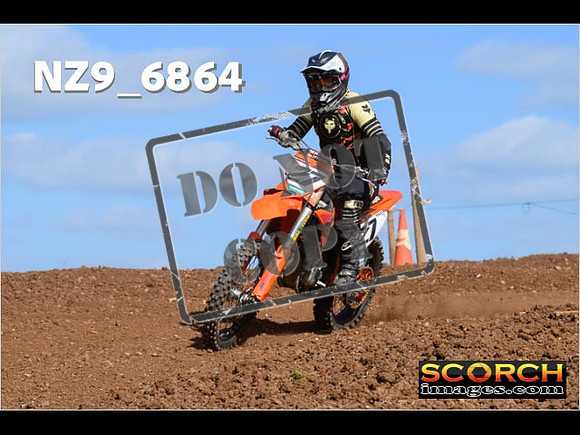 Experts-358