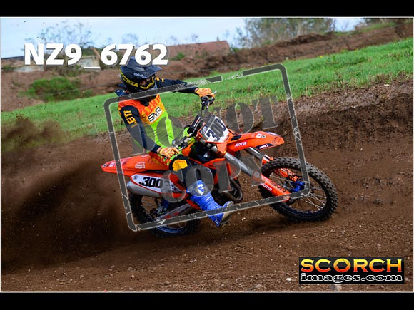Experts-261