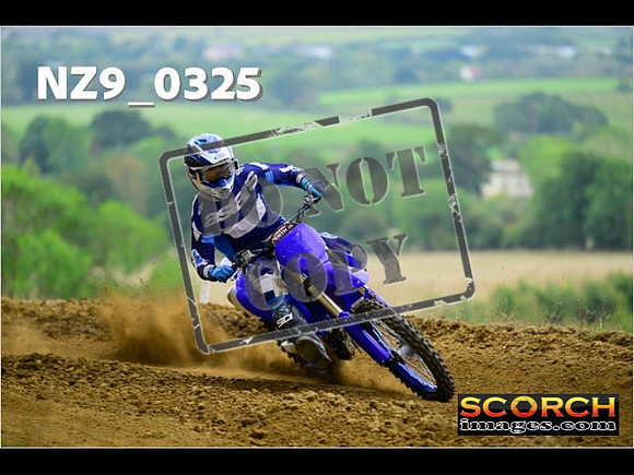 Experts-277