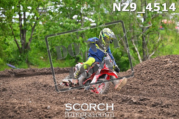 NZ9_4514
