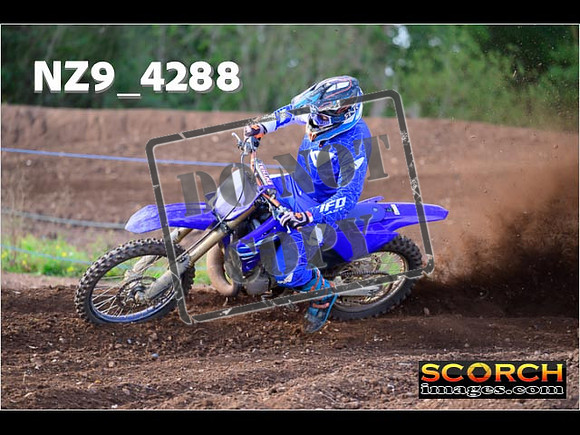 Experts-150