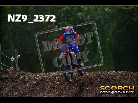 Experts-333