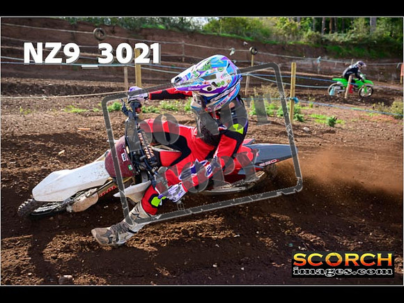 Experts-215