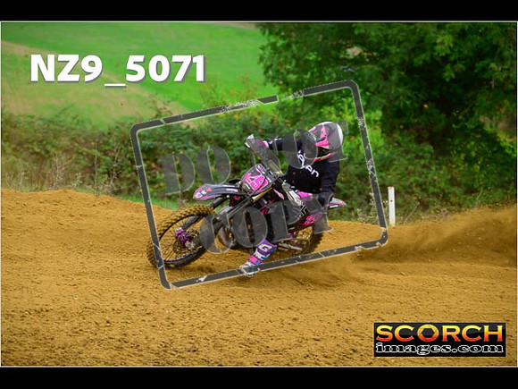 Experts-088