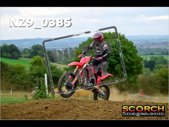 Experts-333