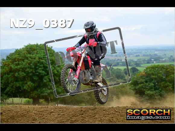 Experts-335
