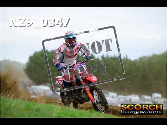 Experts-298