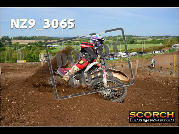 Experts-257