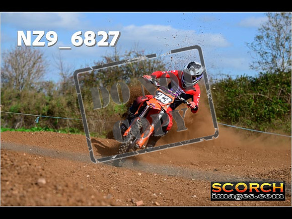 Experts-322