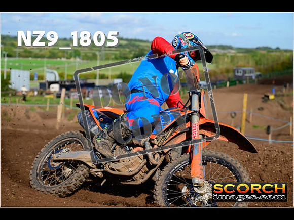 Experts-229