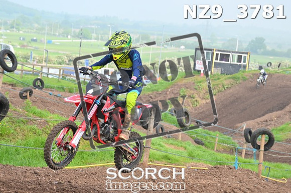 NZ9_3781