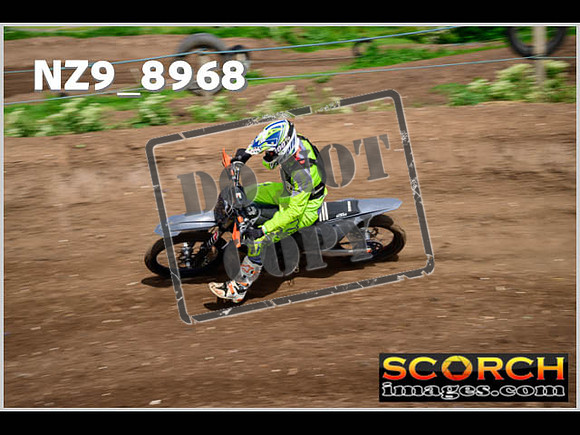Intermediate Green-096