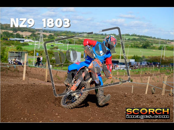 Experts-227