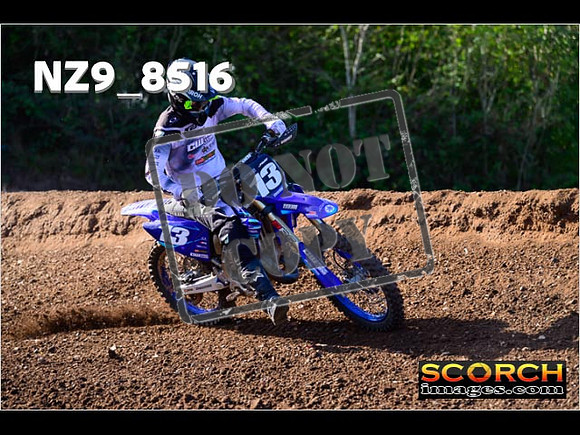 Inters-231