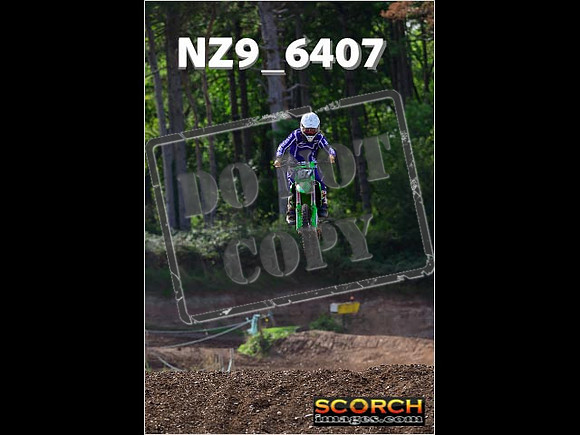 Experts-239