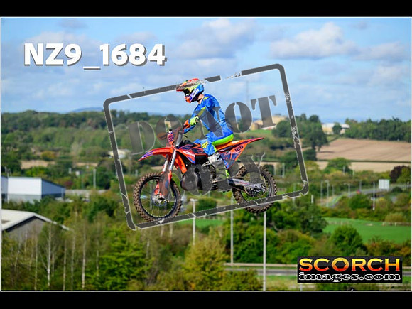 Experts-116