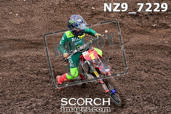 NZ9_7229