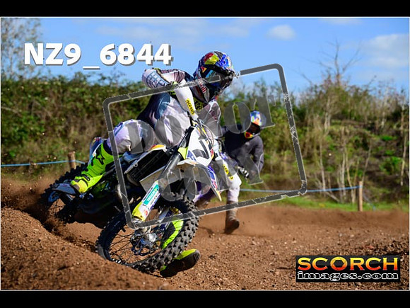 Experts-339