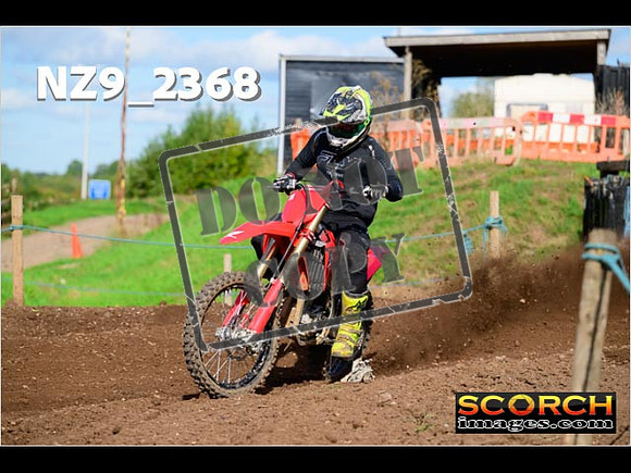 Experts-329