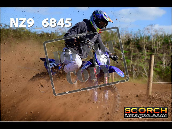 Experts-340
