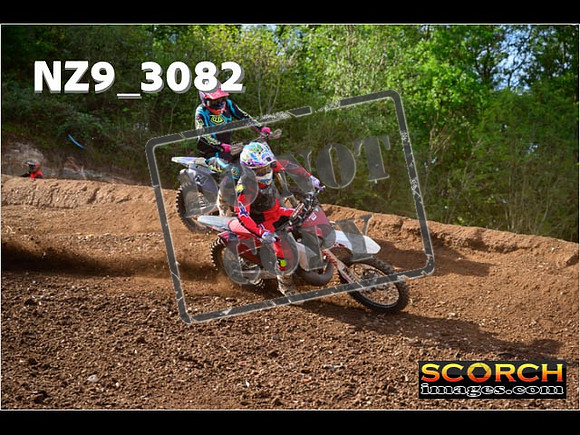 Experts-269