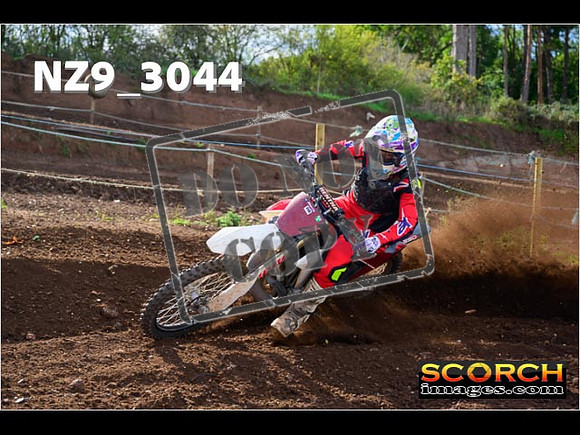Experts-237