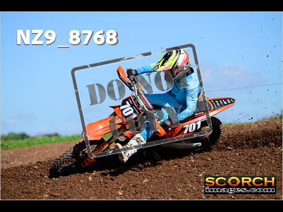 Experts-269