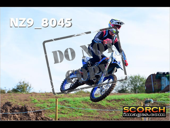 Experts-041