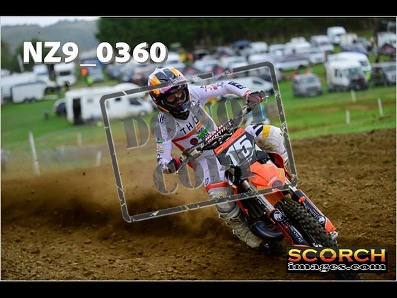 Experts-309