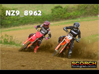 Experts-008