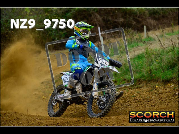 Experts-173