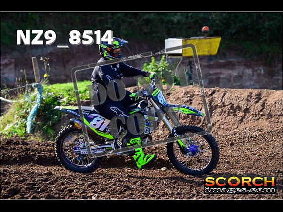Inters-229