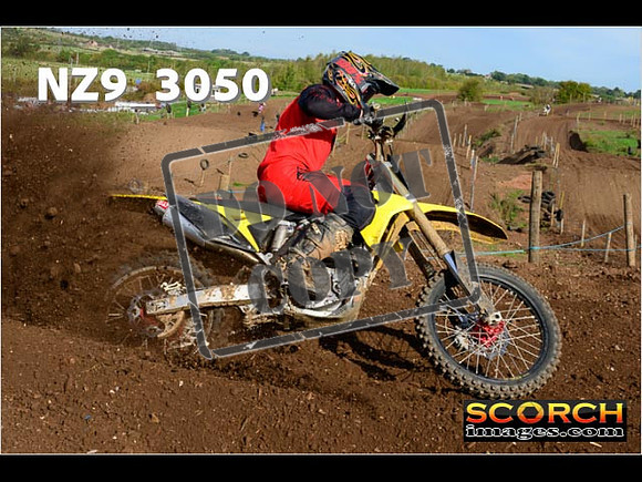 Experts-243