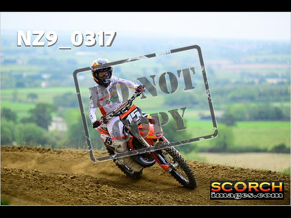 Experts-271