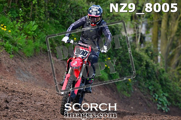 NZ9_8005