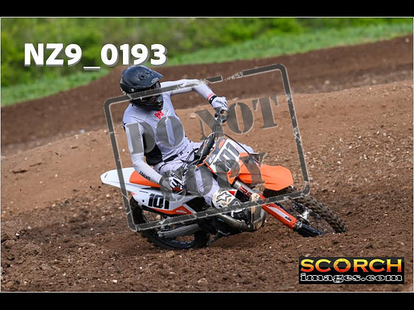 Experts-131