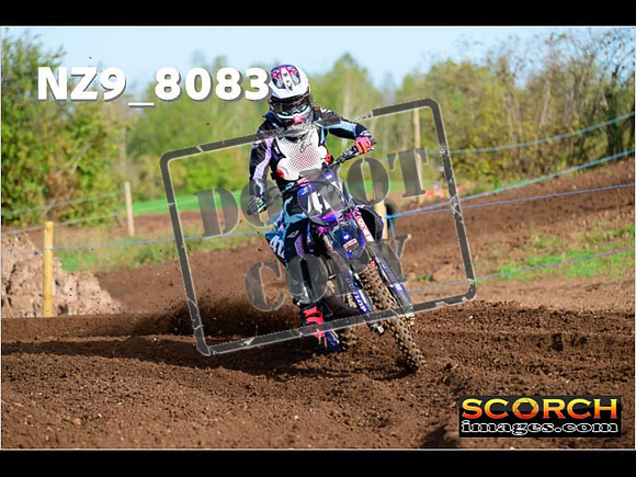 Experts-077
