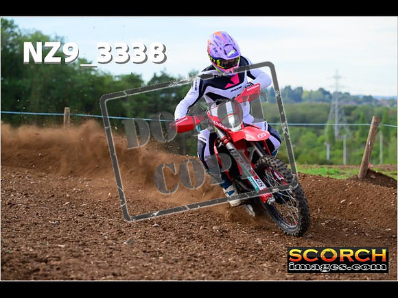 Experts-301