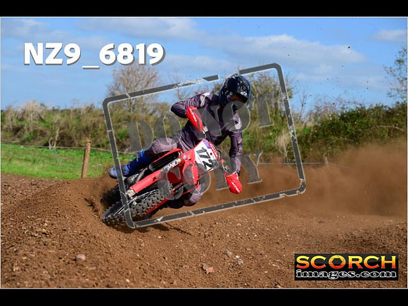Experts-314
