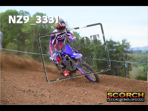 Experts-294