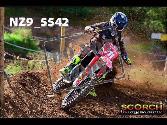 Experts-096