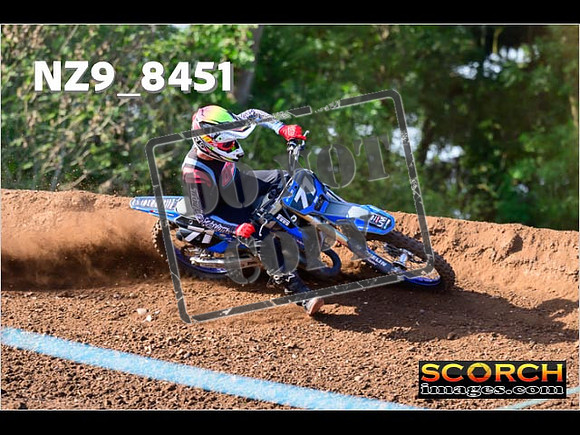 Experts-212
