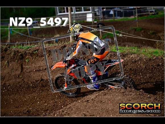Experts-056