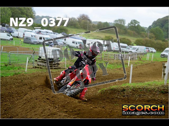 Experts-325