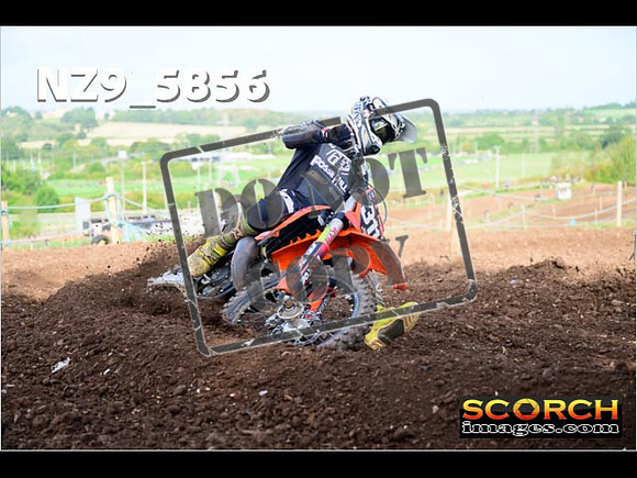 Experts-085